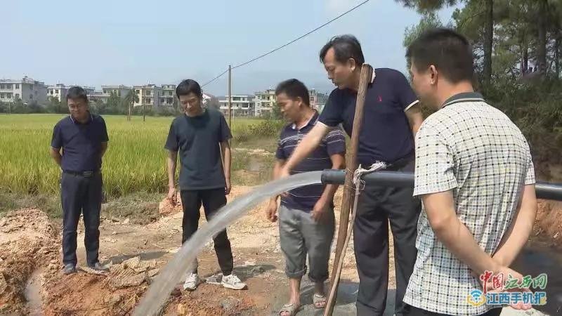 吉水县多措并举积极应对旱情多图