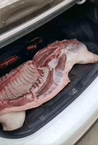 "没有捡钱的命,捡半边猪还可以吧?"哈哈哈哈哈哈趁着没醒快吃了