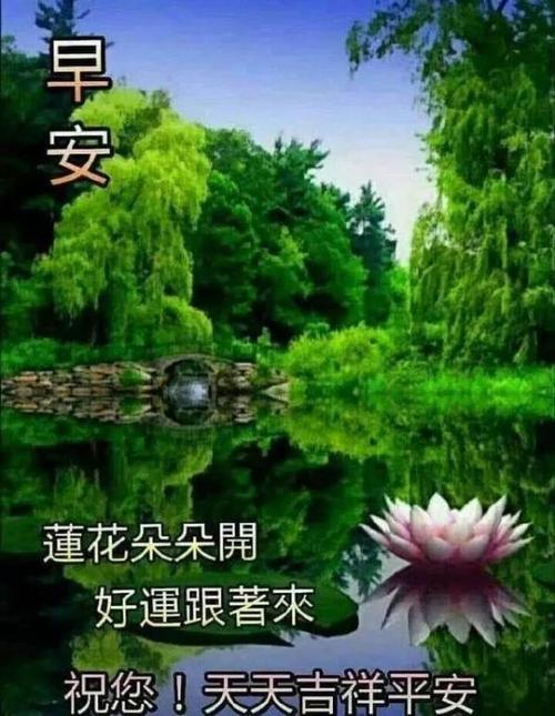 漂亮好看的早上好问候美图带字,早晨好幸福暖心的问候