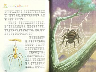 毛虫 二十六 孔雀蛾 二十七 吃枯露菌的甲虫 二十八 爱好昆虫的孩子