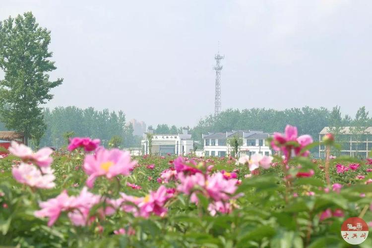 【爆料】10月土地市场月报:平舆土地成交价最高约296万/亩!