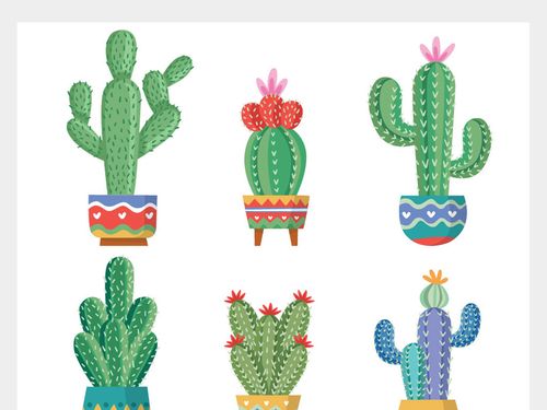 2018手绘沙漠植物仙人掌盆栽图片素材