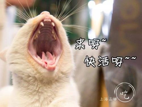 快活呀!