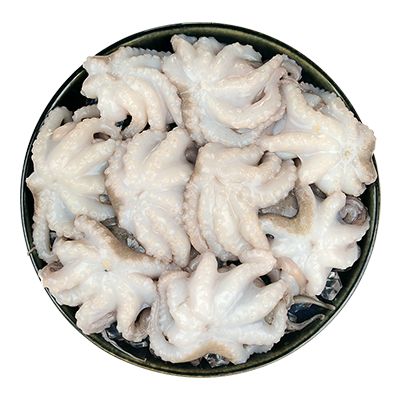 特价小八爪鱼鲜活500