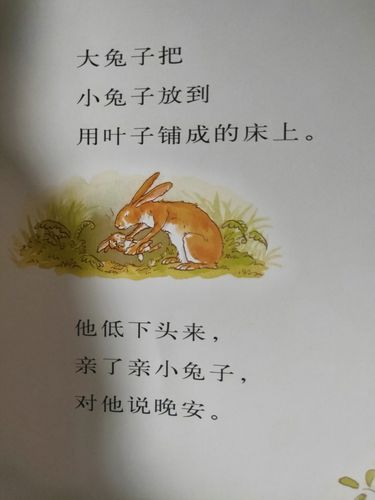 其它 朗读者——乌拉特后旗第二完全小学二四班王浩州 写美篇 大兔子