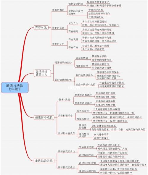 期中七下政治思维导图_政治_思维导图_教育_中学教育