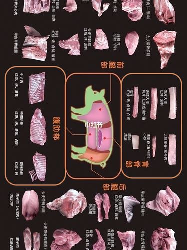 猪的各个部位怎么吃吗71 11566里脊肉:是脊骨下面一条与大排骨