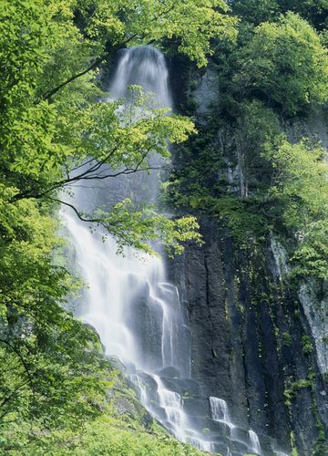 壁纸 风景 旅游 瀑布 山水 桌面 719_1000 竖版 竖屏 手机