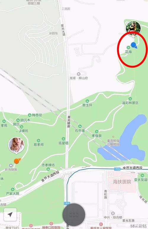 照母山上有一大片让人心醉的紫色花海!不用跑普罗旺斯