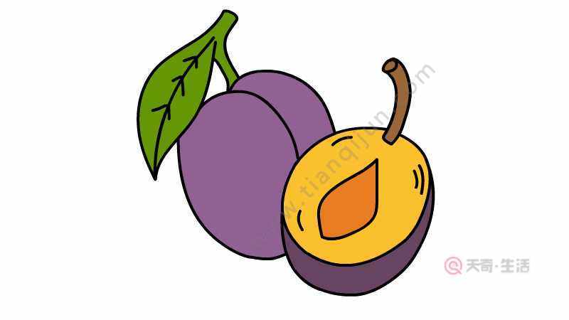 西梅简笔画上色