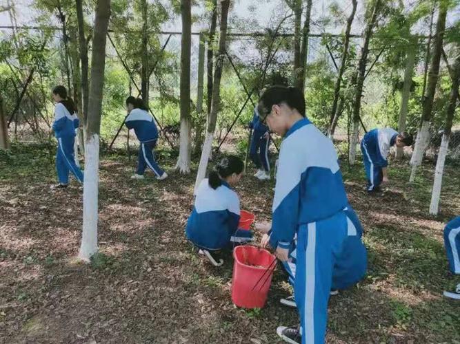 忠简学校学生在农业园和校园举行植树节活动