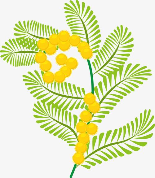 旋转矢量卡通含羞草