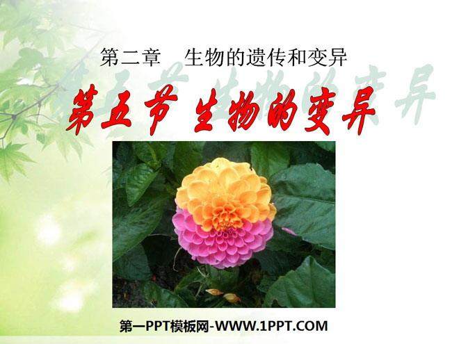 遗传和变异是生物普遍存在的现象,二者().