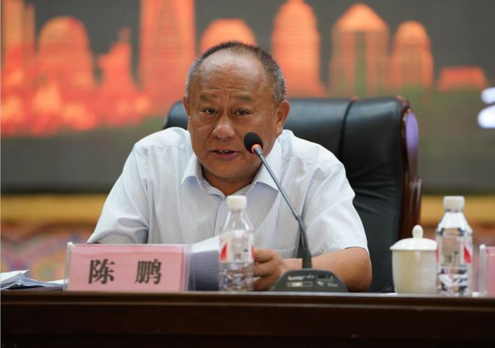 中国卫生摄影协会常务副会长陈鹏,健康报社副总编辑,中国卫生摄影