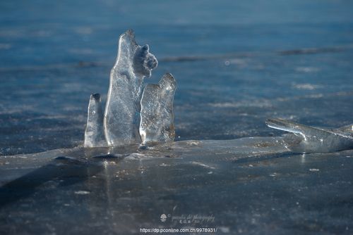 冰是睡着的水