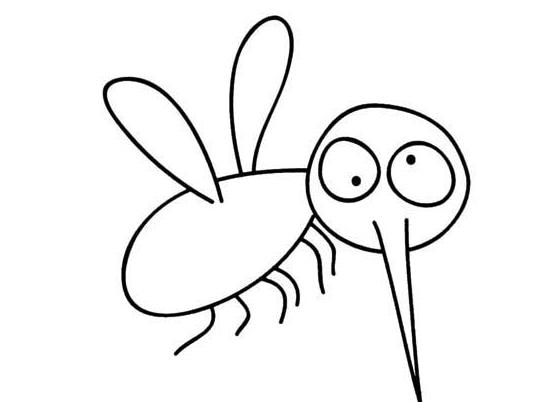 蚊子简笔画图片_蚊子儿童绘画图集(5)