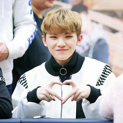 seventeen woozi 李知勋