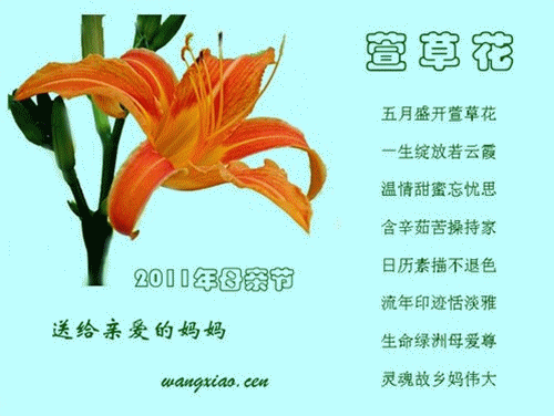 母爱深深,萱草情