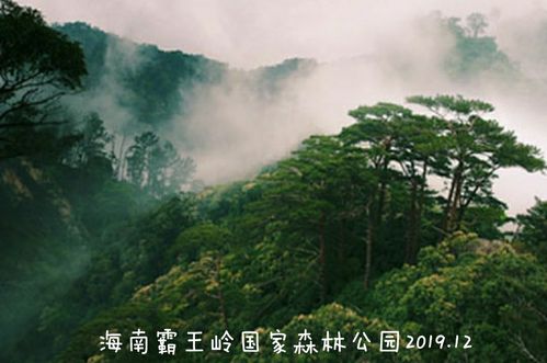 【2019海南省霸王岭游记】