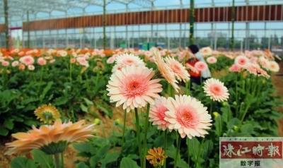 首页 今日南海 镇街新闻 里水        南海花卉博览园:     打造广佛