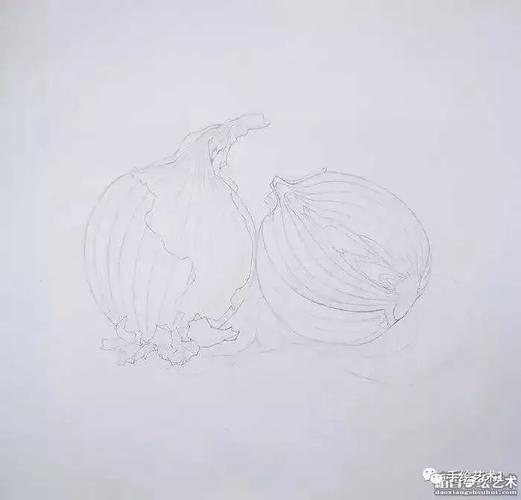 彩铅洋葱绘制步骤,够诱惑