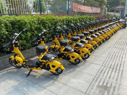 新发现!多辆"小黄车"惊现祁门街头