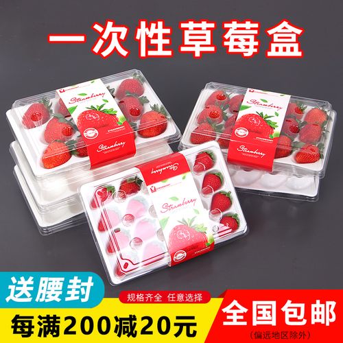 草莓一次性盒子透明泡沫内托专用包装盒塑料15粒一次