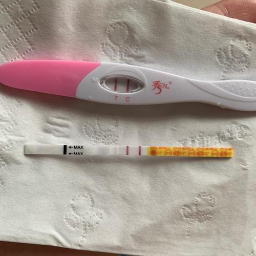 排卵试纸(紫红)