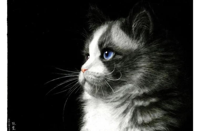 什么是伦勃朗光——无象精微的借鉴案例之一