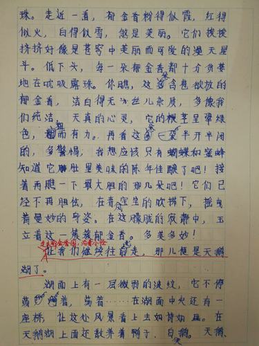 习法得法,一试身手——四下五单元"交流平台"与"初试身手"教学