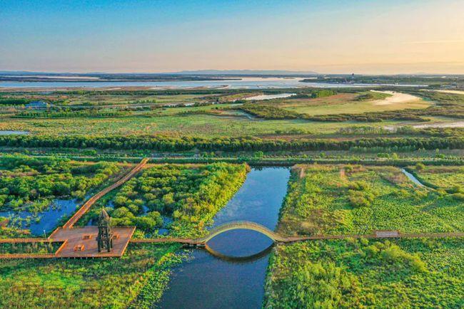 绿色的畅想——同江市三江口国家湿地公园印象