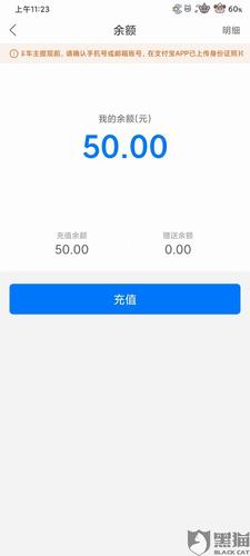 哈啰出行app里钱包的余额提现不了