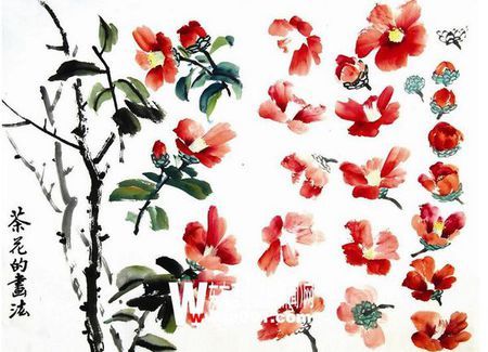 怎样画写意茶花