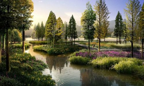 谢岗镇银山市级湿地公园现雏形预计今年12月底完工