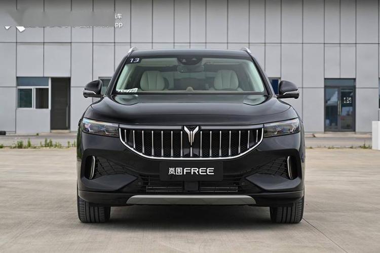 拳打蔚来脚踢理想,30万元级新能源suv你得看看岚图free