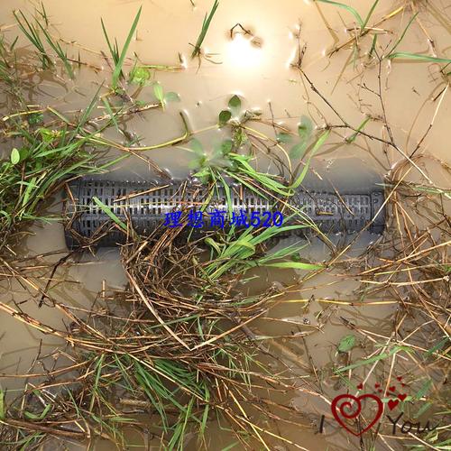 可拆卸两进口塑料鳝鱼笼黄鳝笼 一字鳝笼泥鳅笼 大号捕黄鳝笼倒须