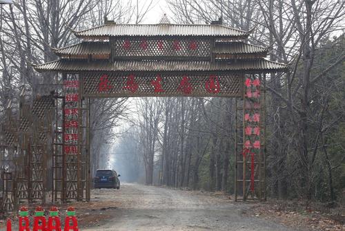 它位于大通区九龙岗牛弯塘上