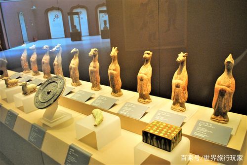 大唐西市博物馆展藏两万文物 墓志壁画拓片铜镜极其珍贵 值得品鉴