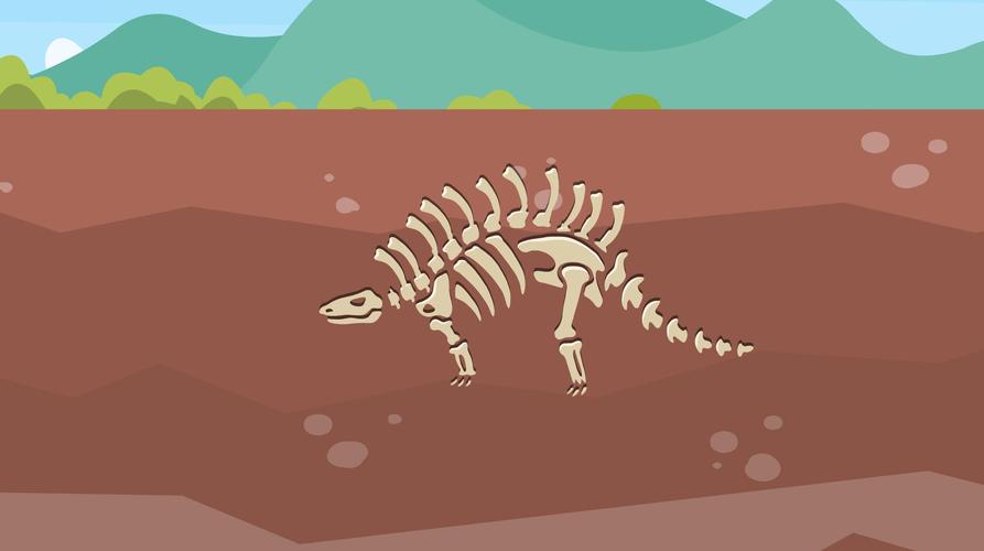 恐龙化石是怎么形成的