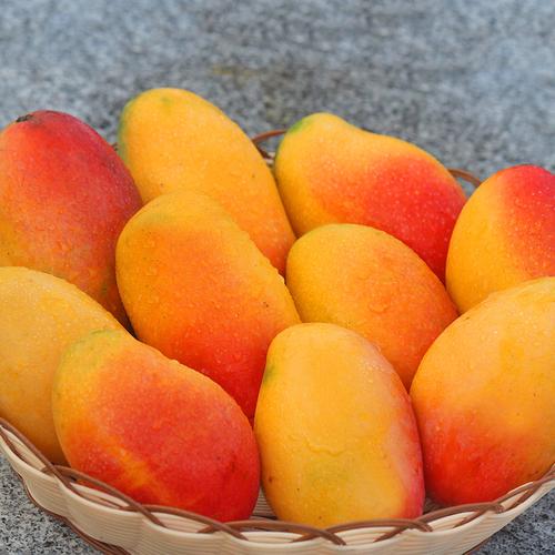 海南热带10斤现摘整箱当季果特忙果贵妃新鲜芒果