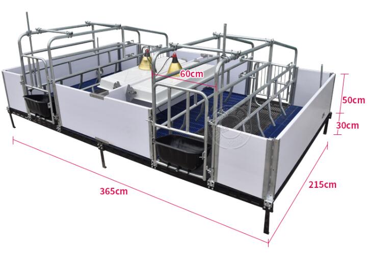 母猪产床图片大全及尺寸介绍