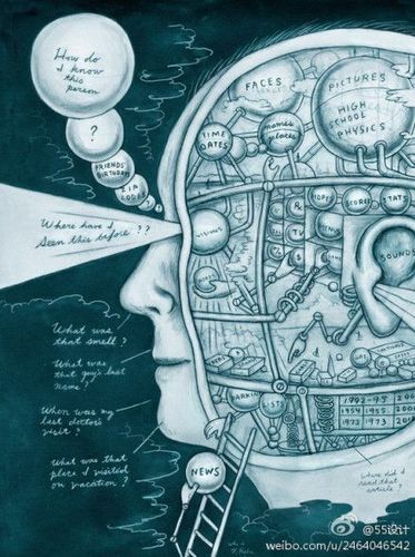 想知道我们的大脑是怎么工作的吗?看看这张图吧!