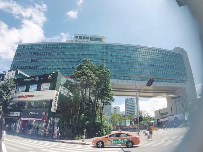 弘益大学          