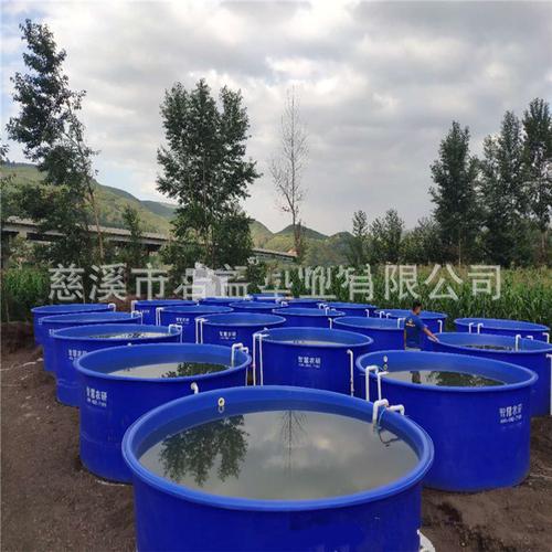 水产养殖大桶 养鱼塑料桶 lldpe材质塑胶桶