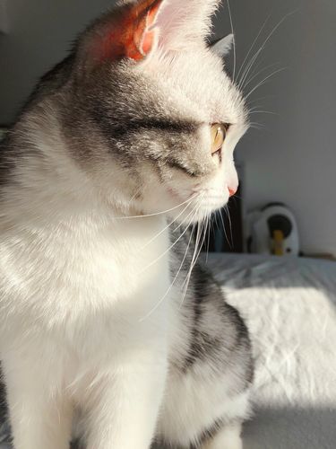 我喜欢每一个你,王泡芙