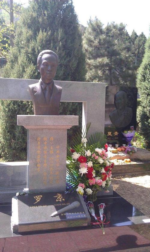 主持人罗京墓地何在追悼会4万人出席,3000次主持无一出错!