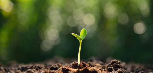 厚积薄发,精彩绽放——二年一班课前两分钟展示