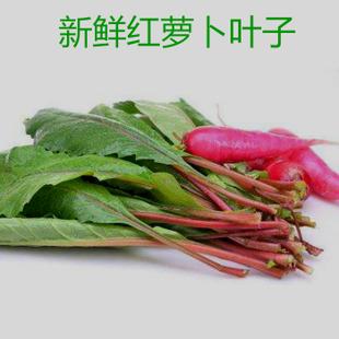 2017年农家自种新鲜红水萝卜叶子红皮萝卜梗杆子樱子 1500g包邮