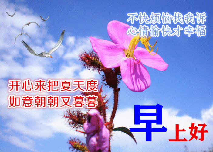早上好动态表情图片大全三伏天早上好问候语句子
