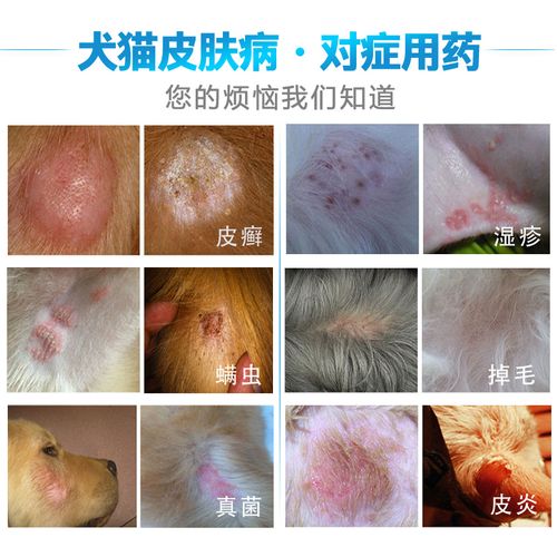 可得治狗狗皮肤病膏外用止痒猫癣驱虫药治疗泰迪金毛湿疹真菌螨虫